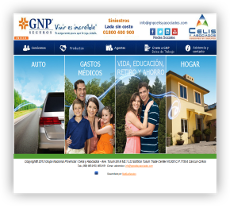 www.gnpcelisyasociados.com